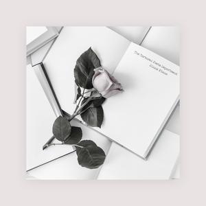 黑人大鸡巴操日本美女
